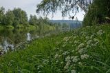 Окрестности деревни Зауфа, image of landscape/habitat.