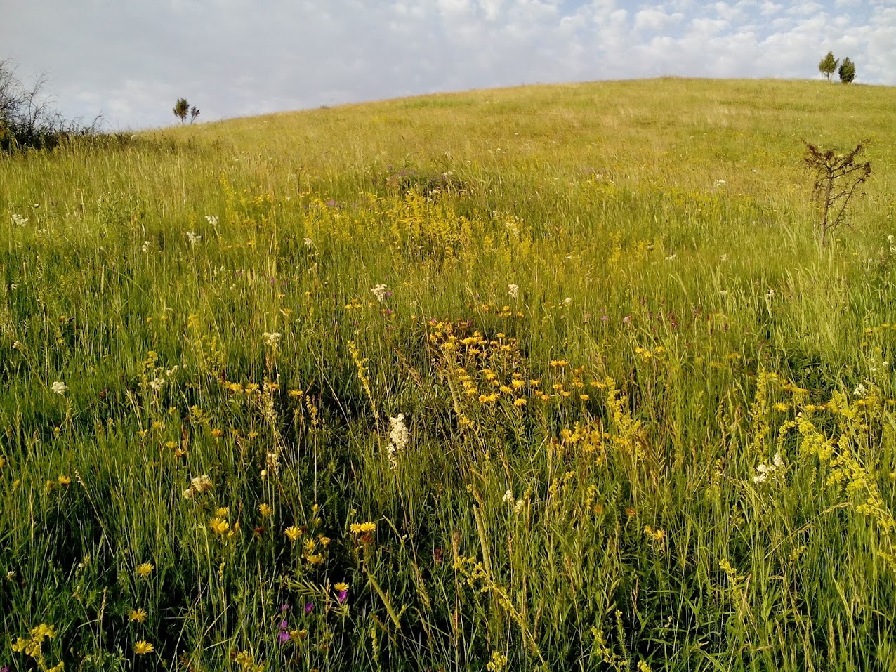 Сјеница озеро, image of landscape/habitat.