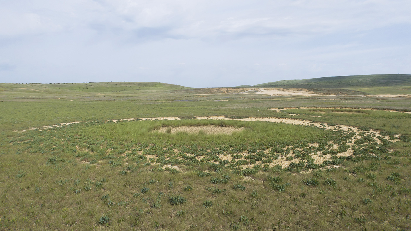 Булганакское сопочное поле, image of landscape/habitat.