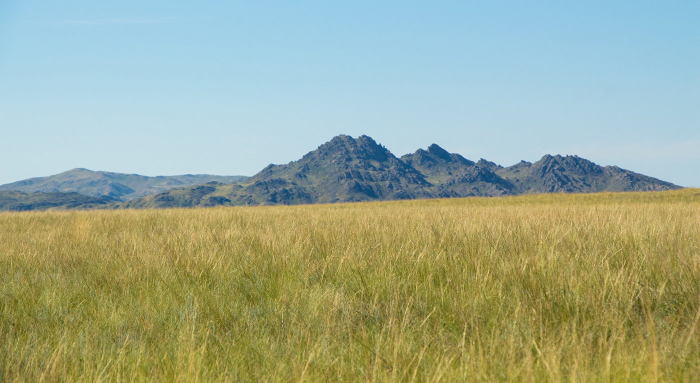 Шагырлы, image of landscape/habitat.