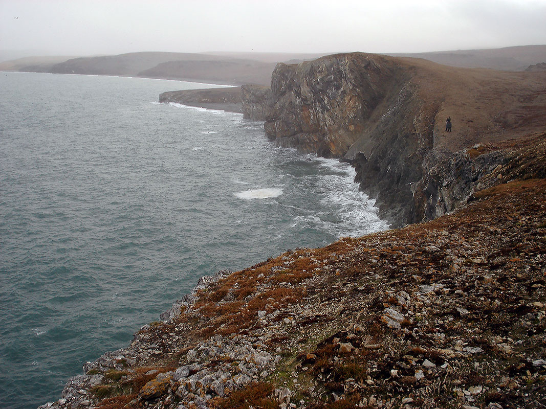 Окрестности мыса Западный, image of landscape/habitat.