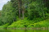 Перевоз, image of landscape/habitat.