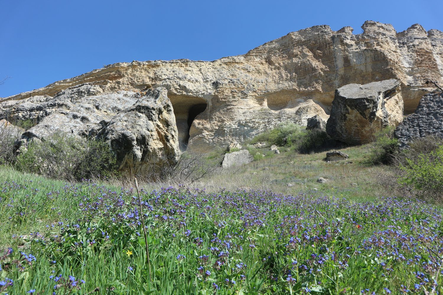 Бор-Кая, image of landscape/habitat.