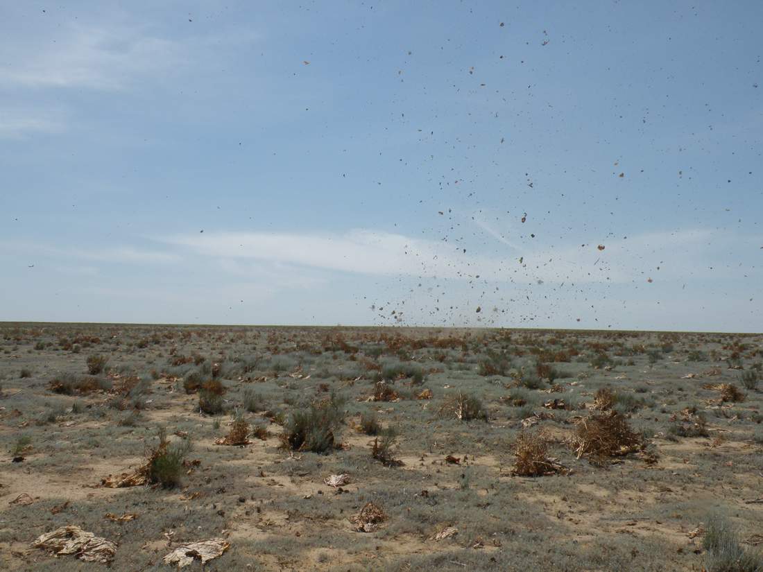 Чинк Донызтау, image of landscape/habitat.