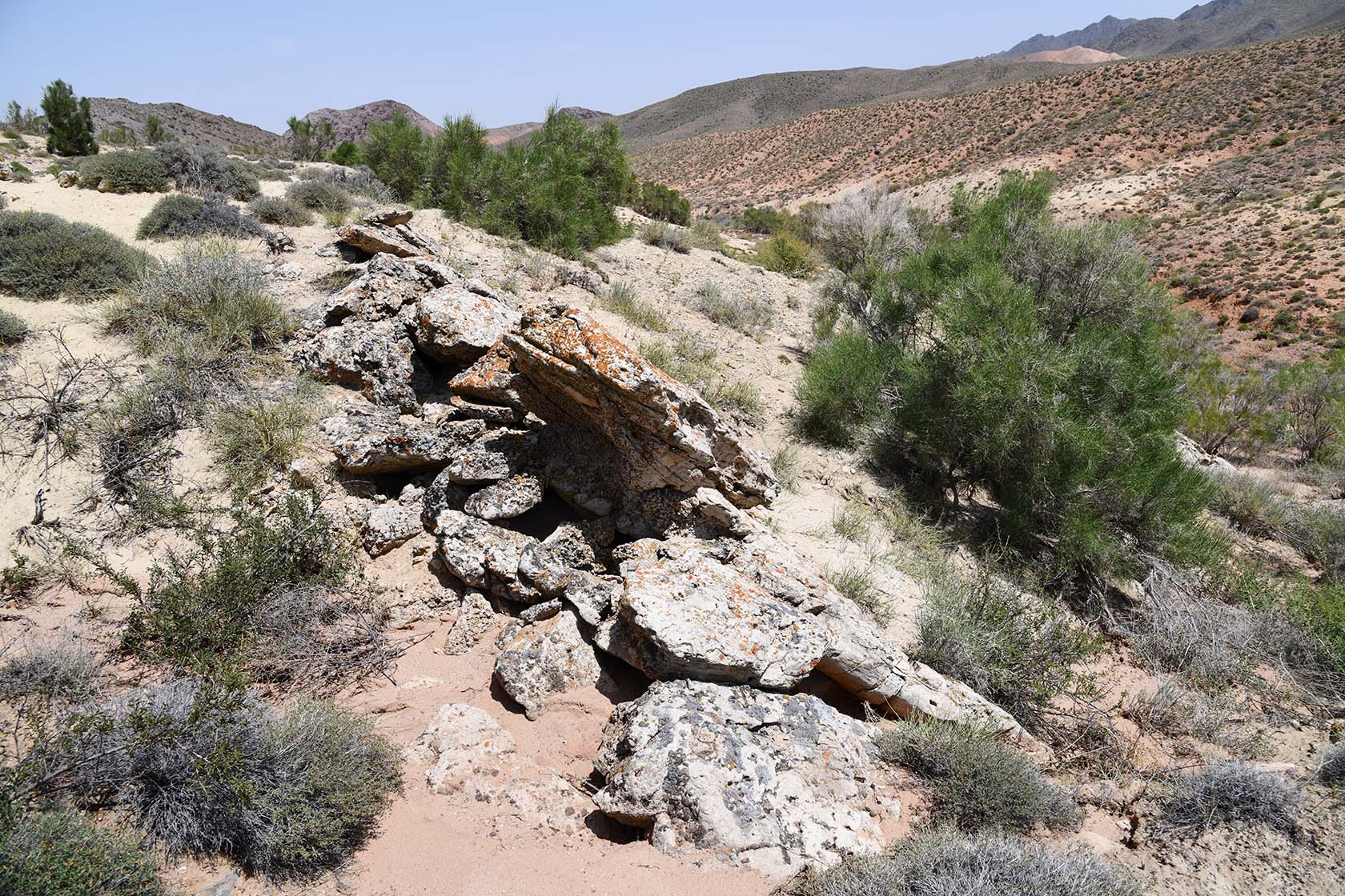 Бала-Богуты, image of landscape/habitat.