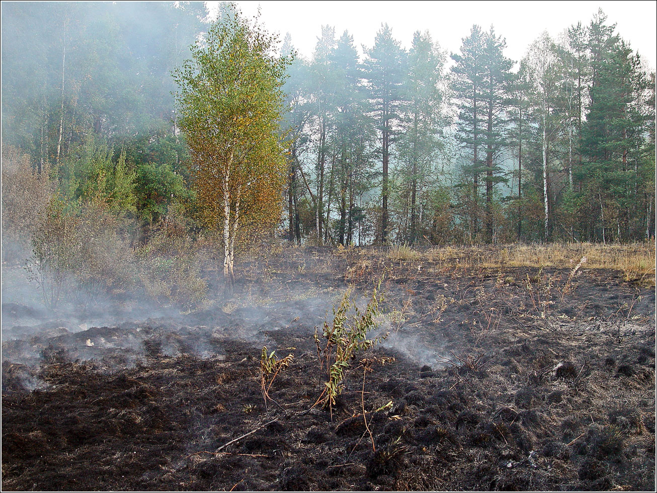 Окрестности Хрипани, image of landscape/habitat.