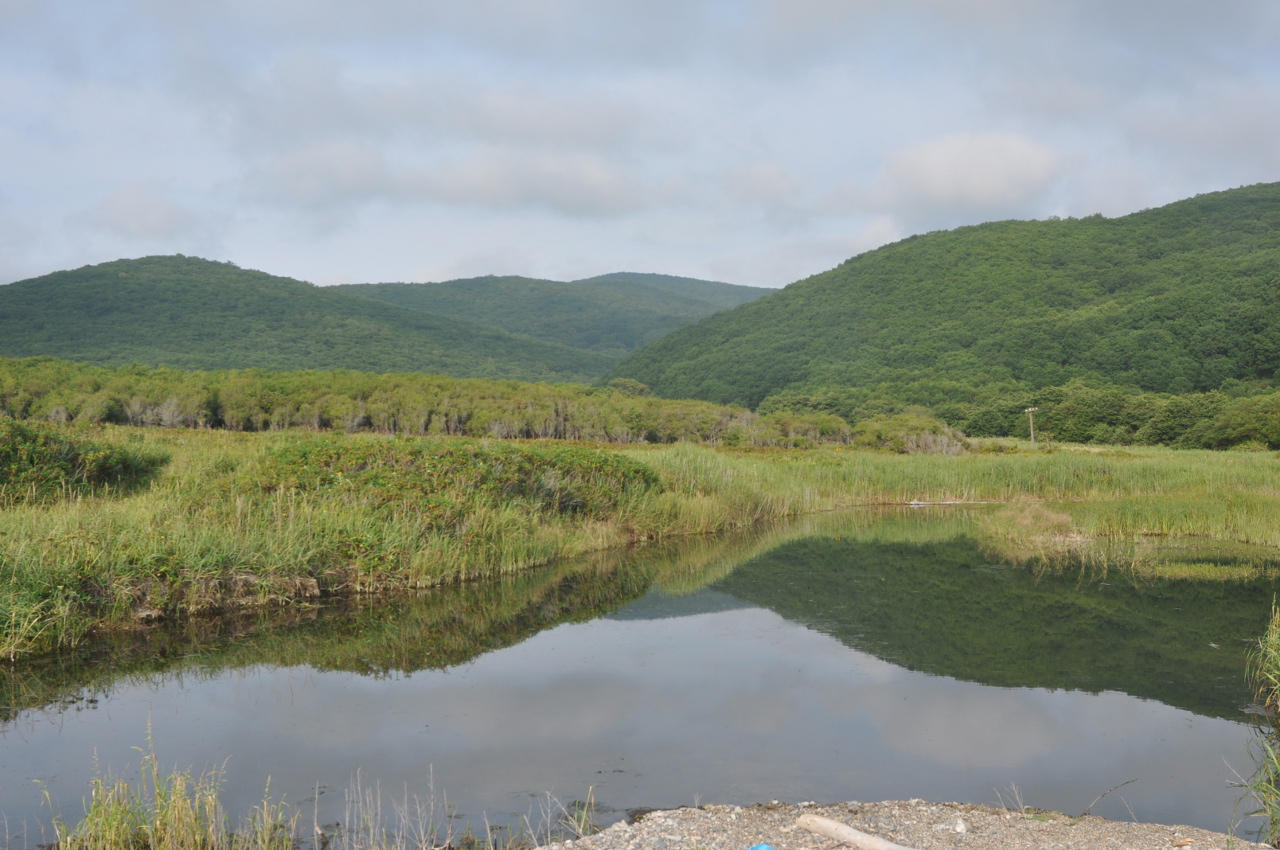 Бухта Уполномоченная, image of landscape/habitat.