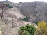 Image of landscape