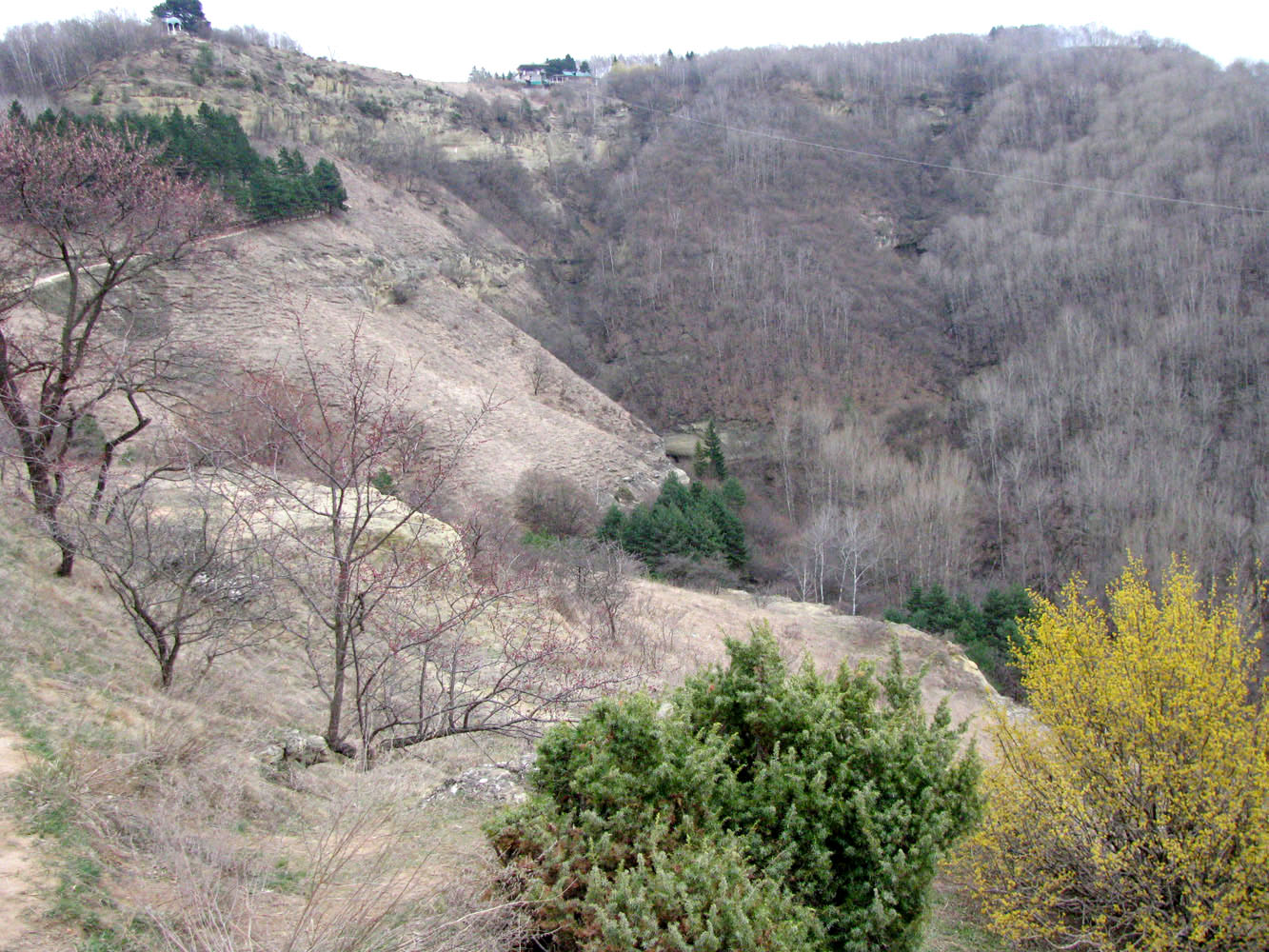 Курортный парк, изображение ландшафта.