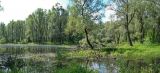 Image of landscape