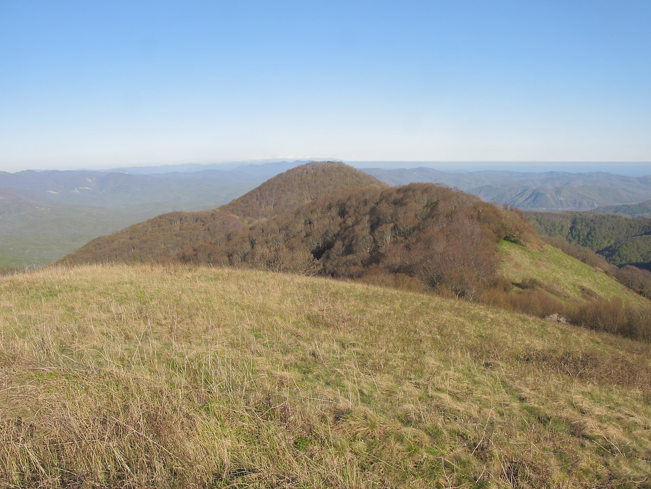 Гора Михайловка, изображение ландшафта.