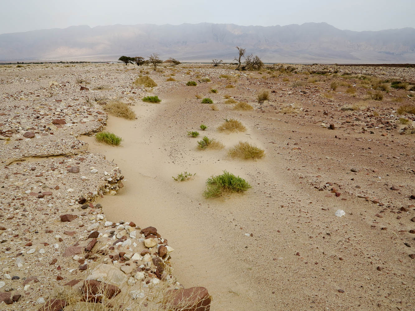 Эйлатские горы, image of landscape/habitat.