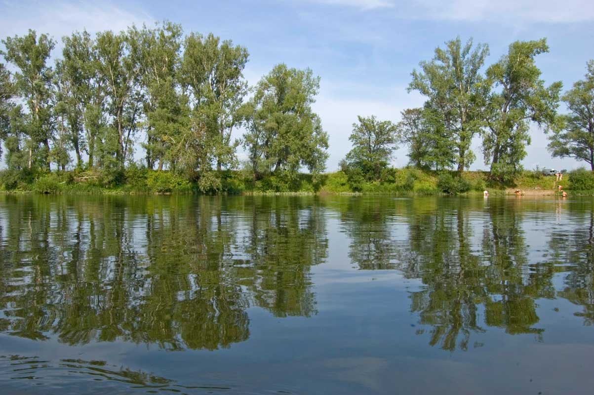 Окрестности деревни Зауфа, image of landscape/habitat.