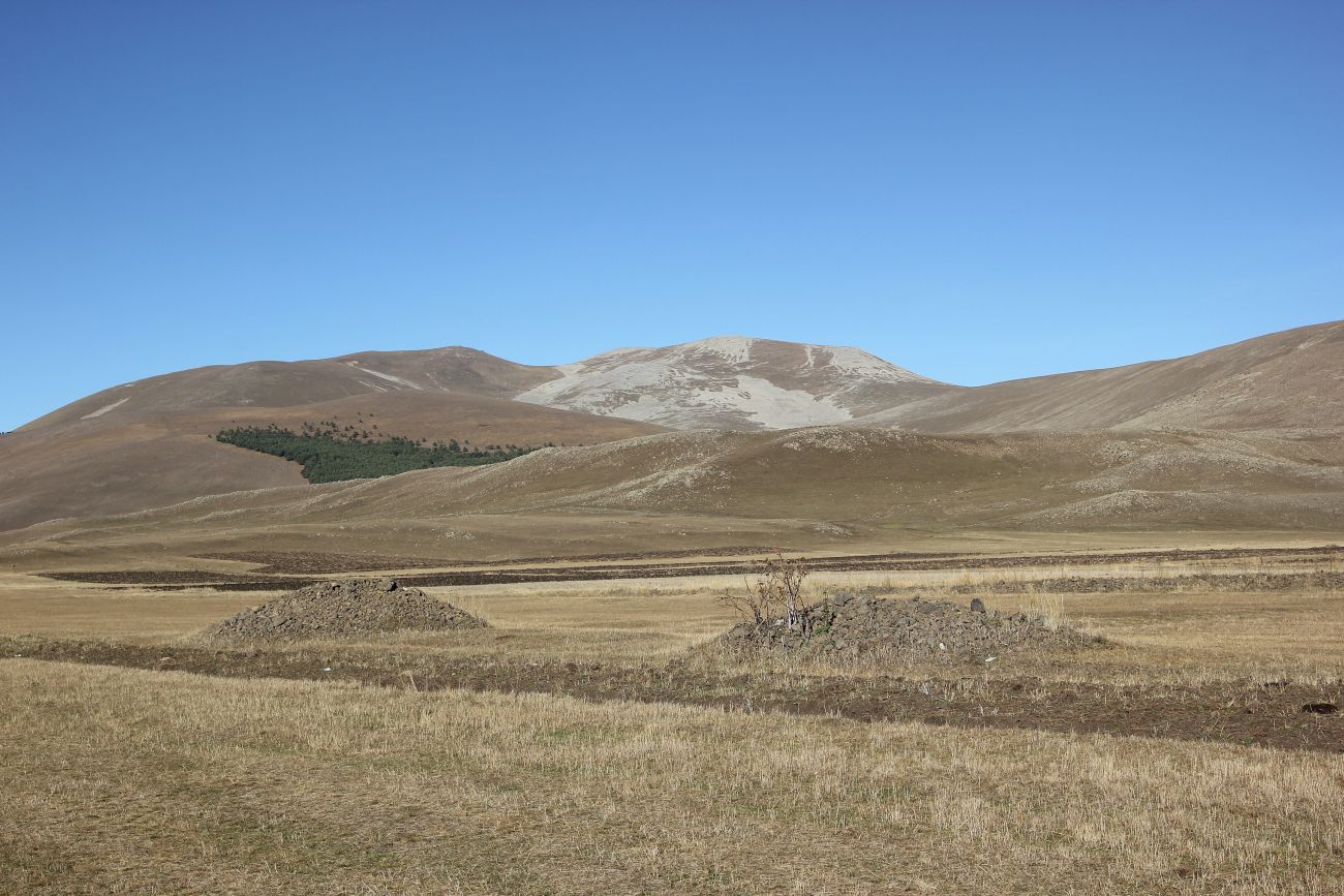 Окрестности горы Патара Абули, изображение ландшафта.