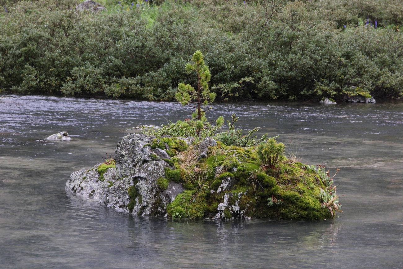 Долина реки Куйгук, image of landscape/habitat.