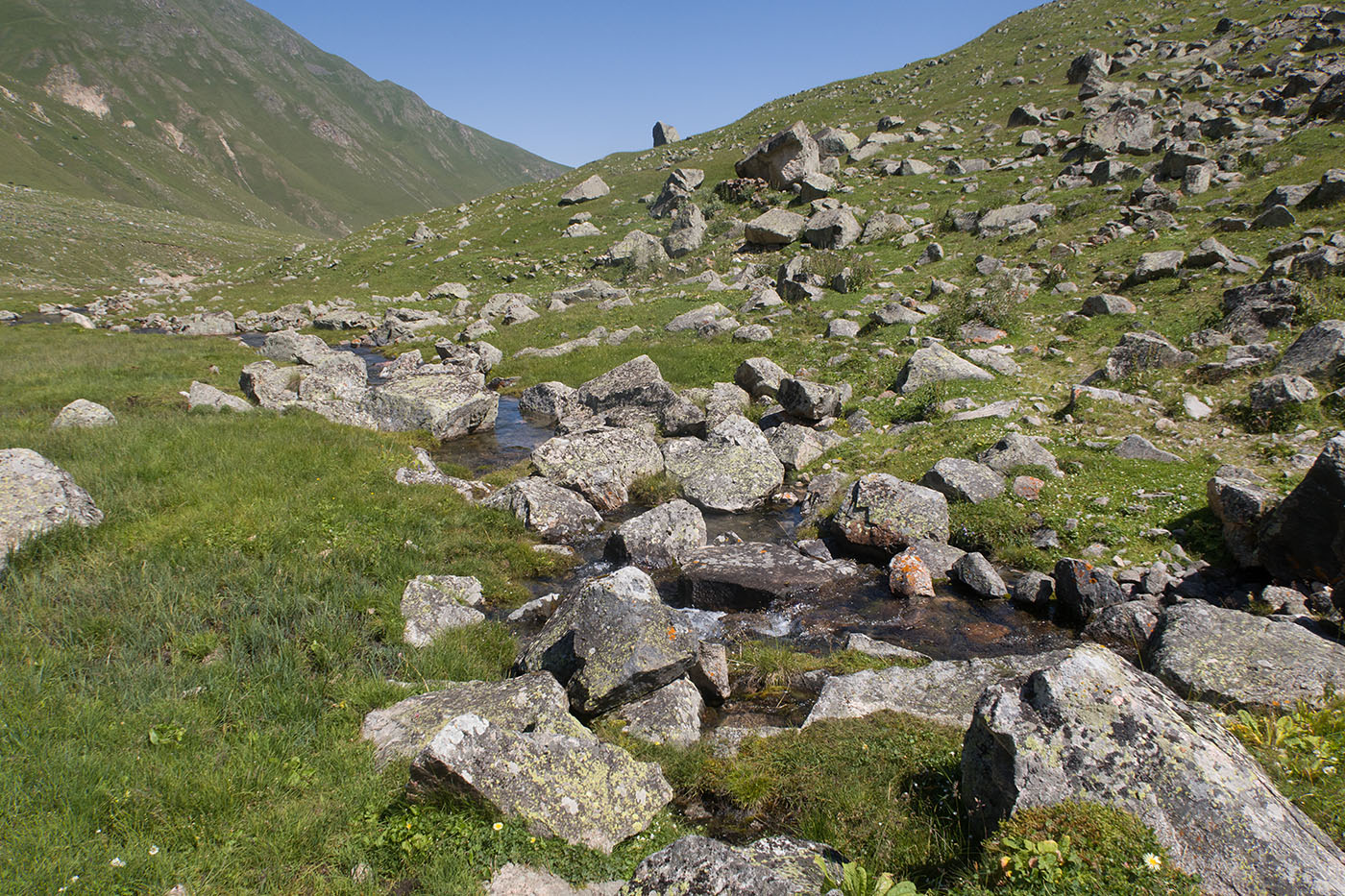 Родниковый ручей, image of landscape/habitat.