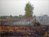 Окрестности Хрипани, image of landscape/habitat.