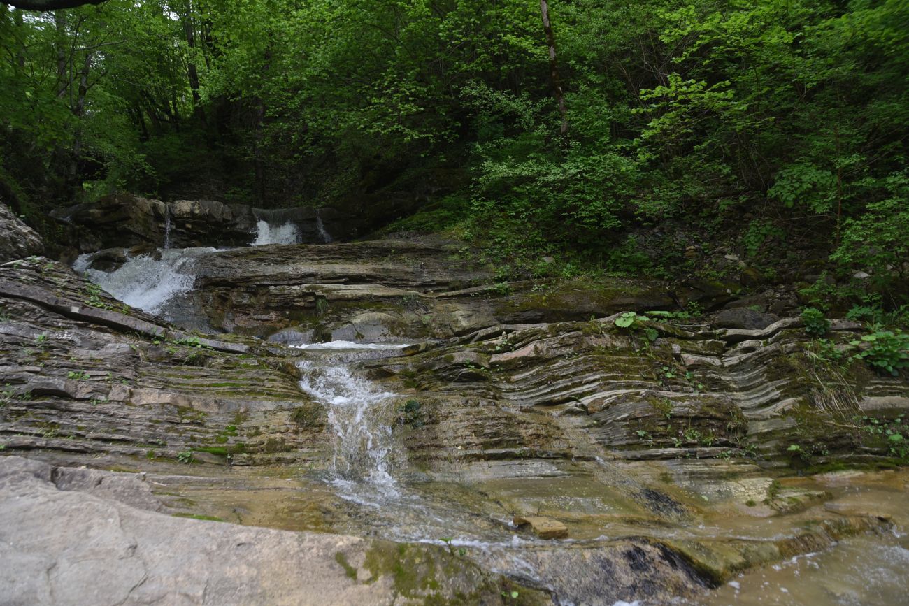 Устье реки Мишоко, image of landscape/habitat.