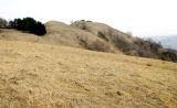 Image of landscape
