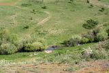 Image of landscape