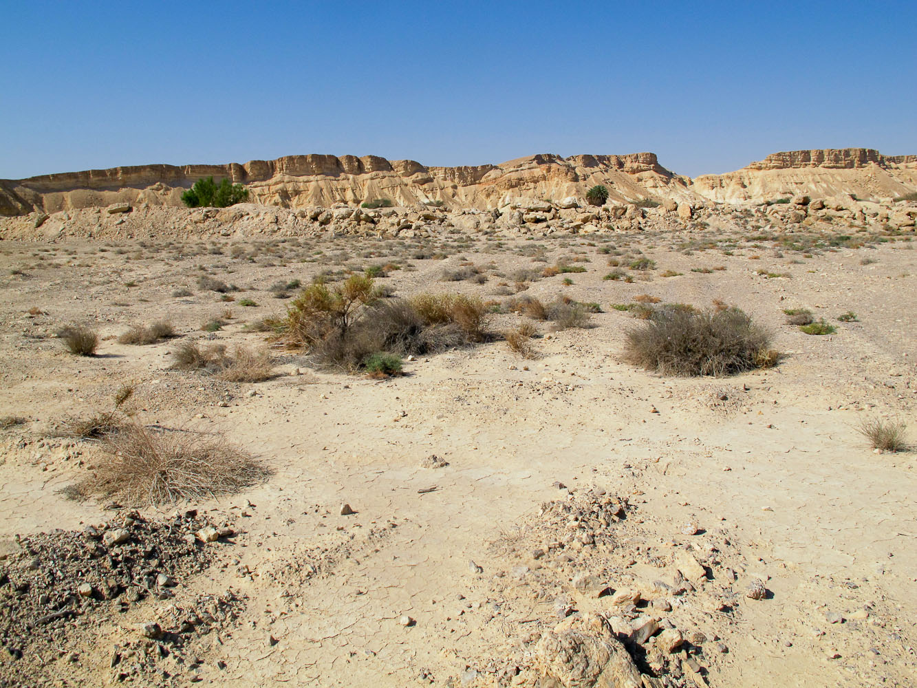 Эмек Арава, image of landscape/habitat.