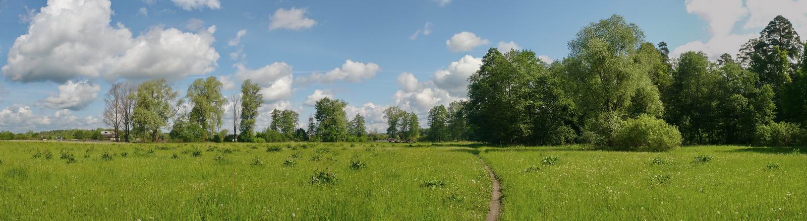 Урочище Низкое поле, image of landscape/habitat.