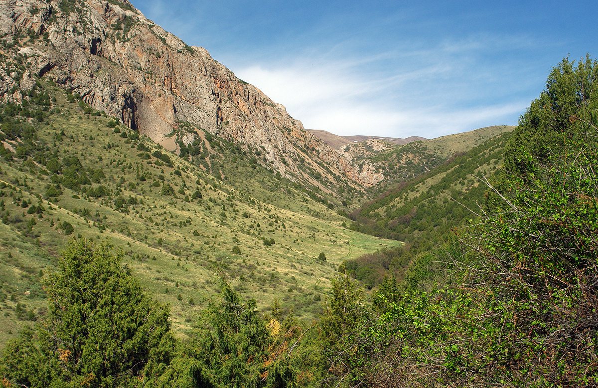 Сазаната, image of landscape/habitat.