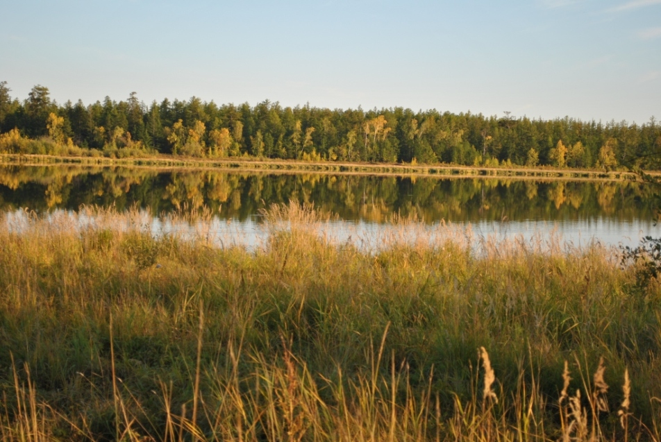 Лено-Вилюйская равнина, image of landscape/habitat.