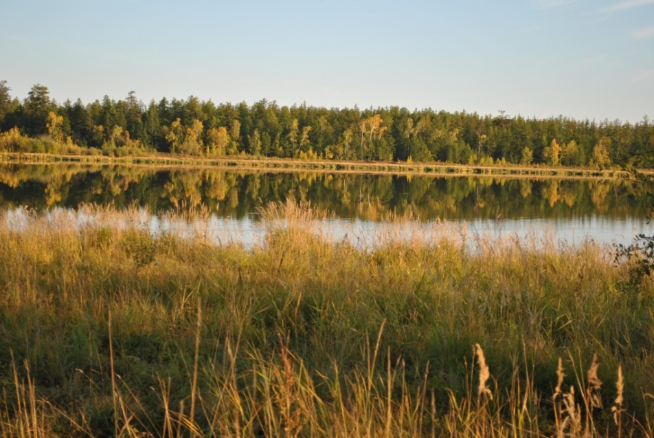 Лено-Вилюйская равнина, изображение ландшафта.