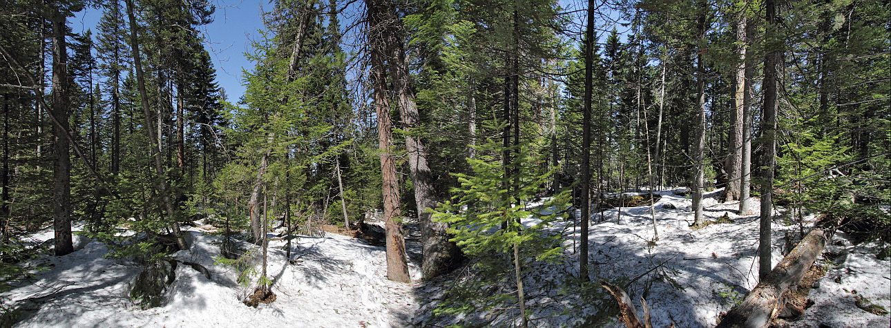 Тропа на "Чум", image of landscape/habitat.