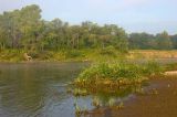 Image of landscape