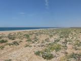 Image of landscape