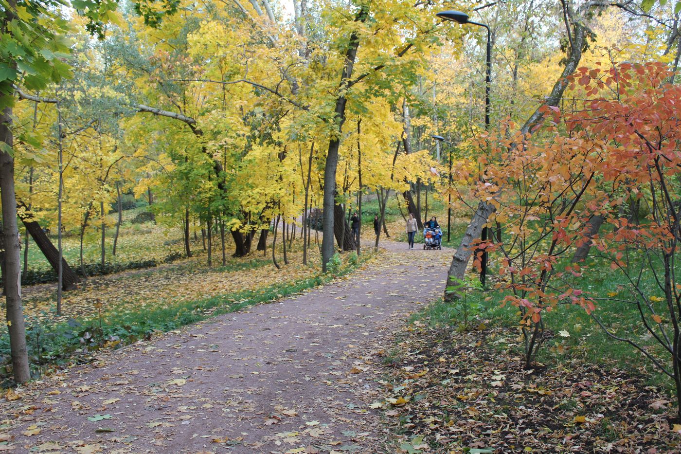 Нескучный сад, image of landscape/habitat.