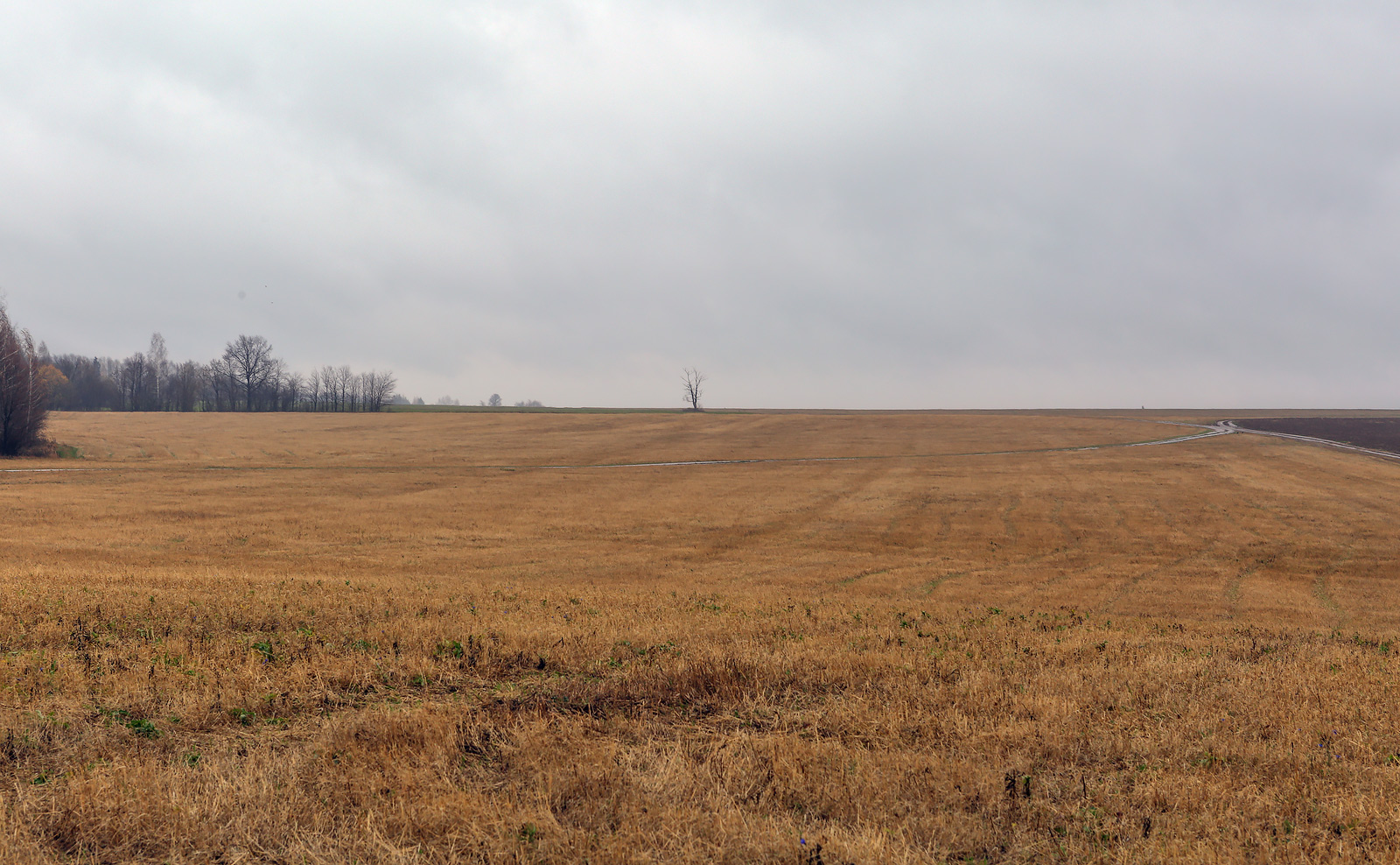 Окрестности села Красный Бор, image of landscape/habitat.