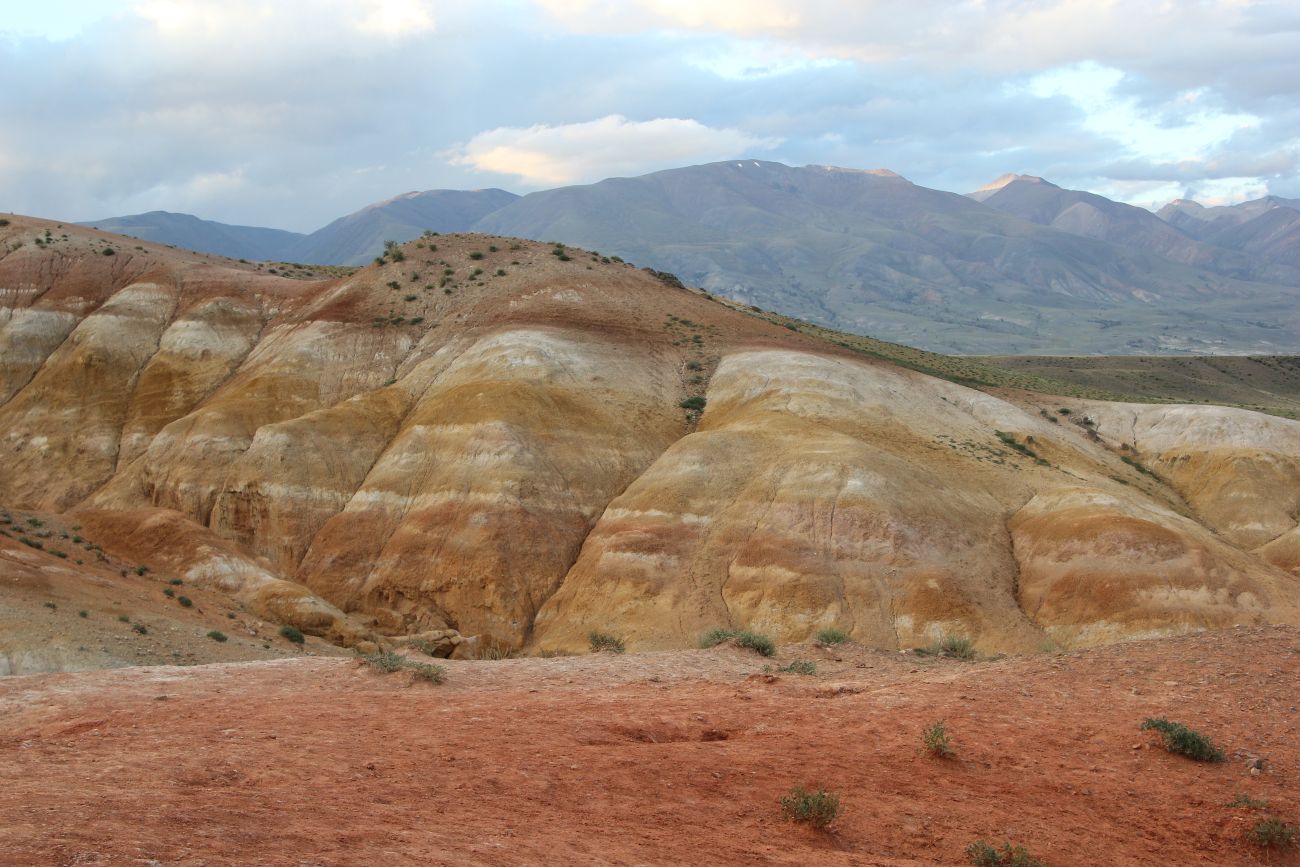 Урочище Марс, image of landscape/habitat.