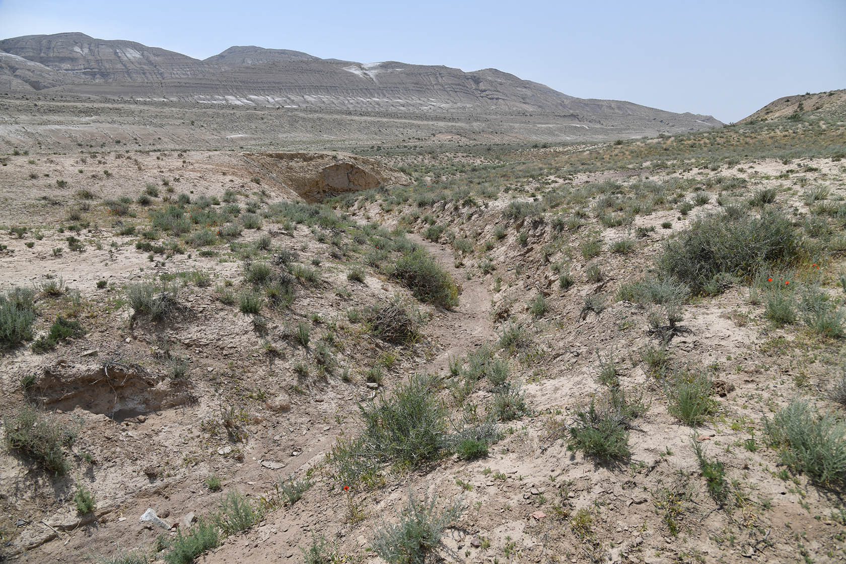 Окбель, image of landscape/habitat.
