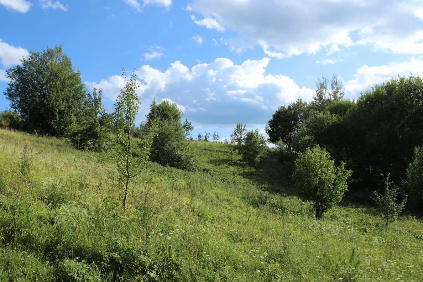 Маяк (Бизня), изображение ландшафта.