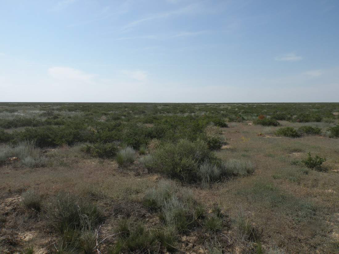 Чинк Донызтау, image of landscape/habitat.