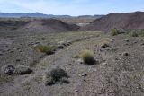Image of landscape