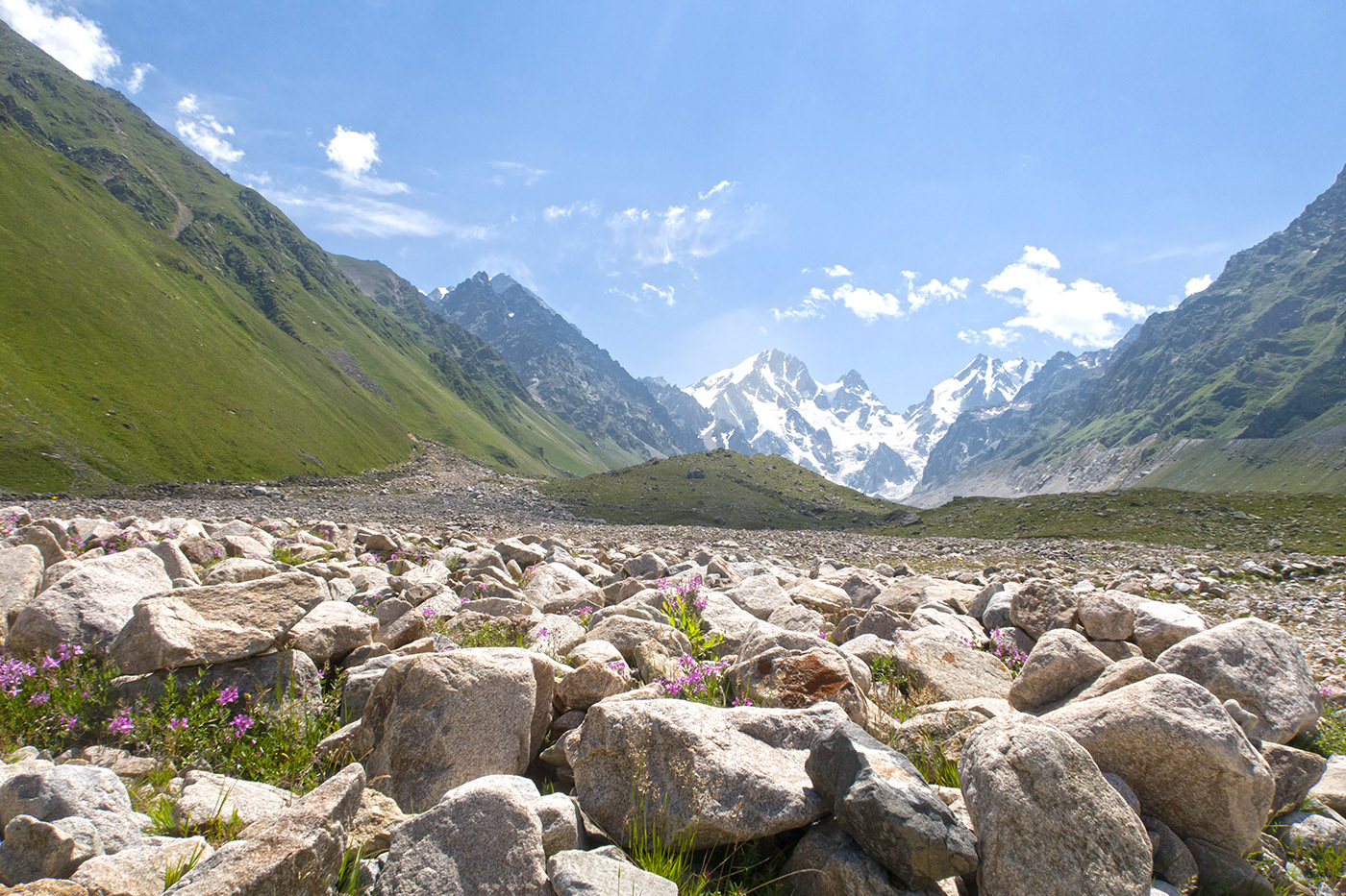 Ледник Псыгансу, image of landscape/habitat.