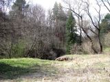 Image of landscape