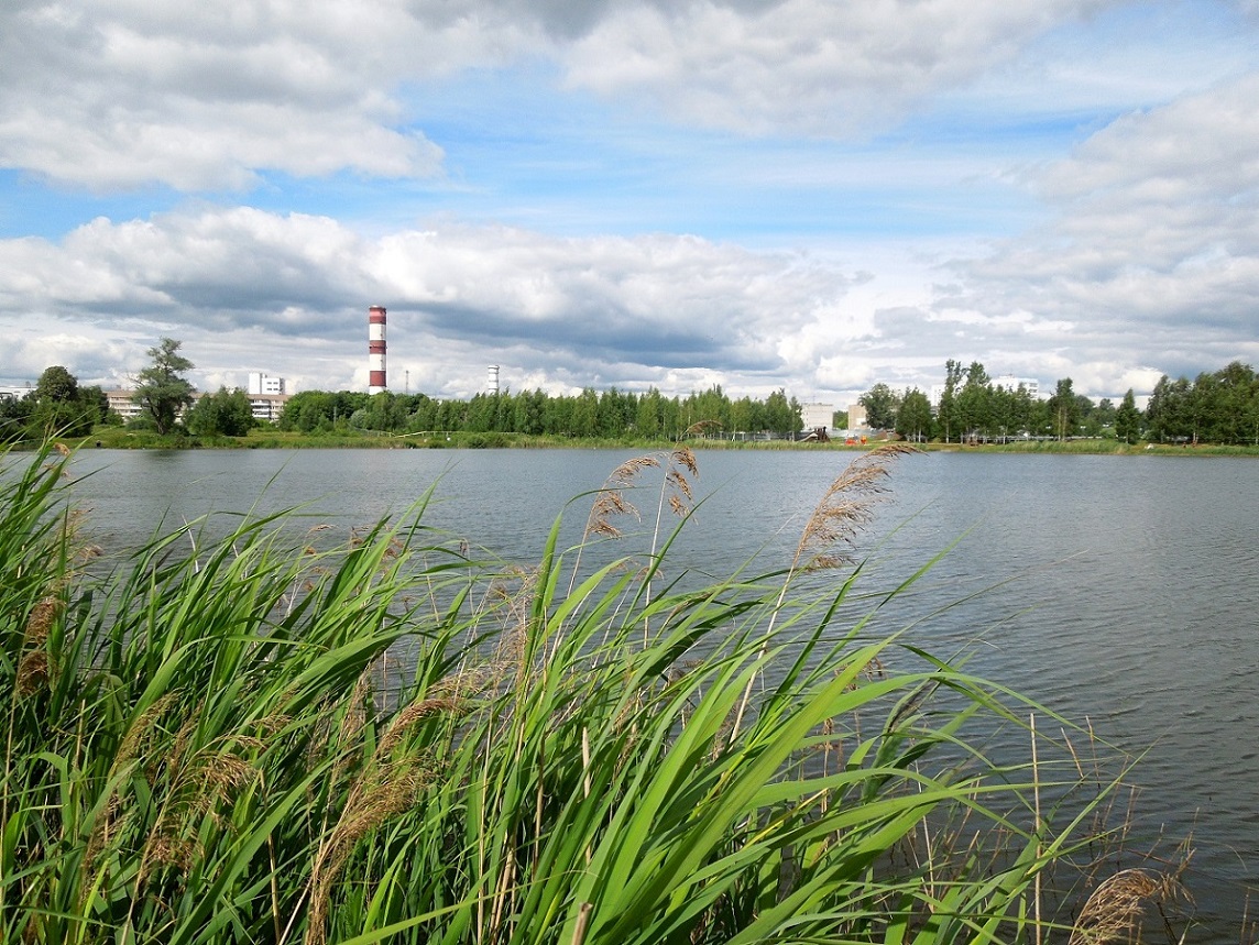 Стахановское озеро, image of landscape/habitat.