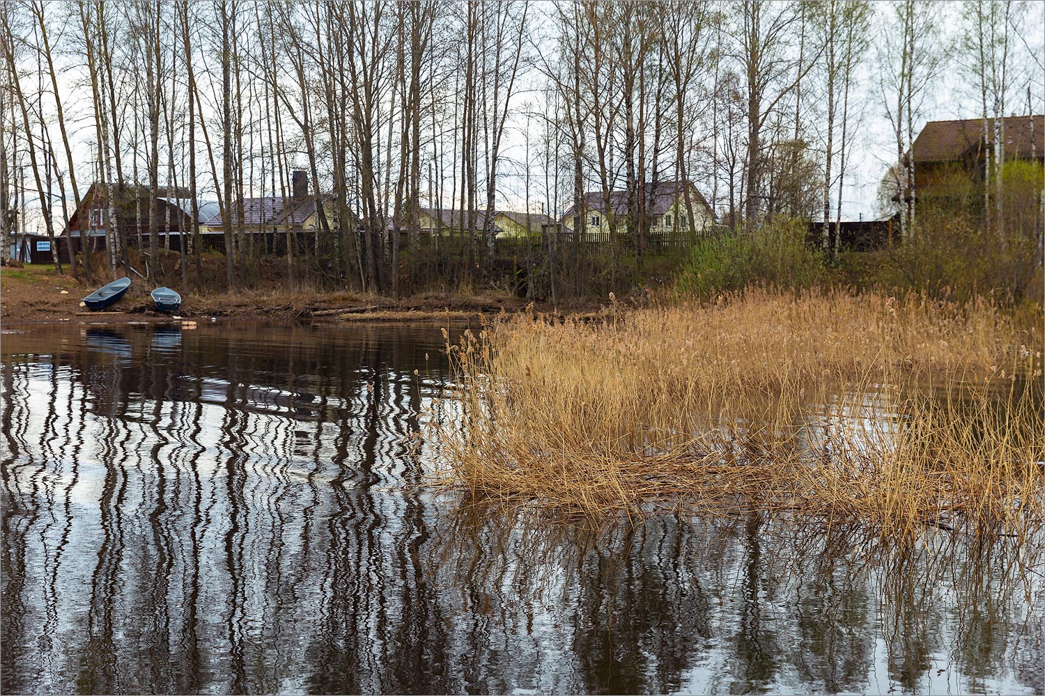 Противье, image of landscape/habitat.