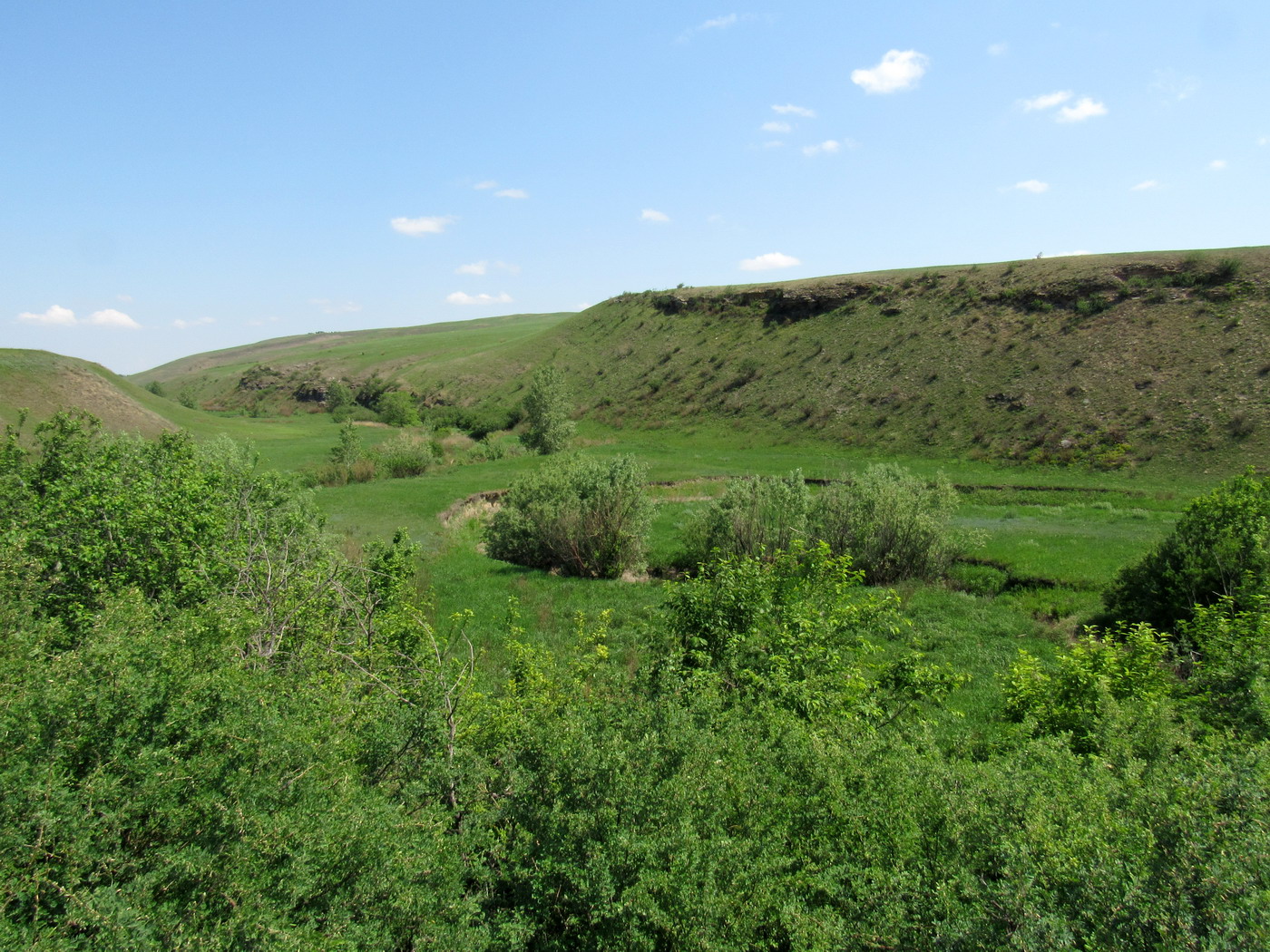 Кавказский Бор, image of landscape/habitat.