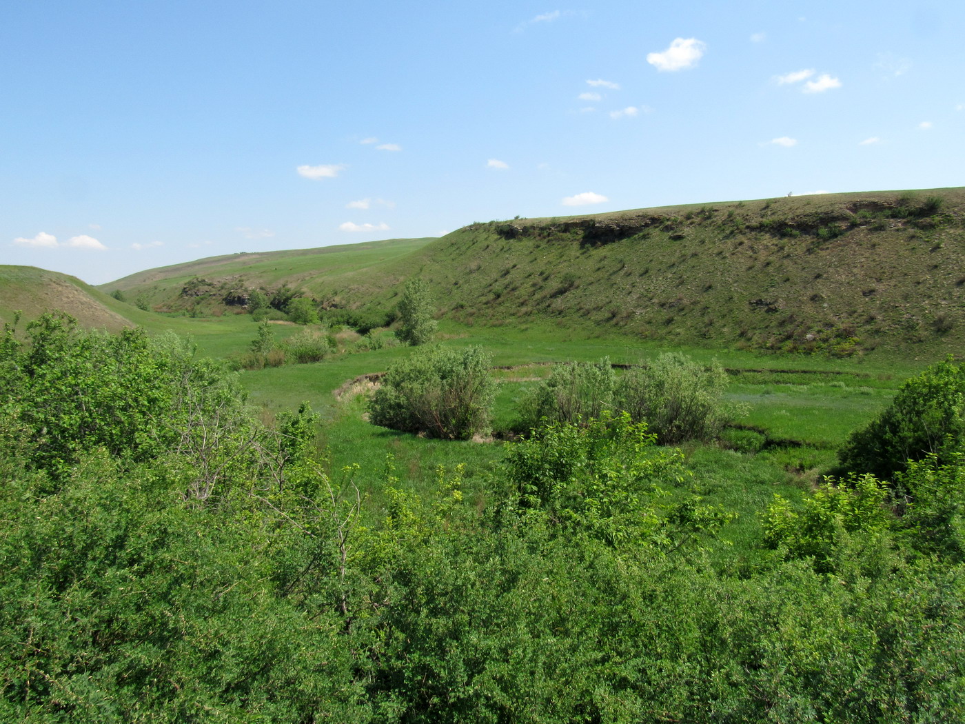 Кавказский Бор, изображение ландшафта.