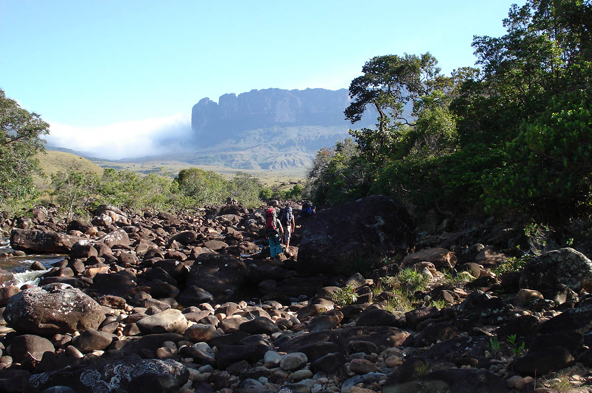 Рорайма, image of landscape/habitat.