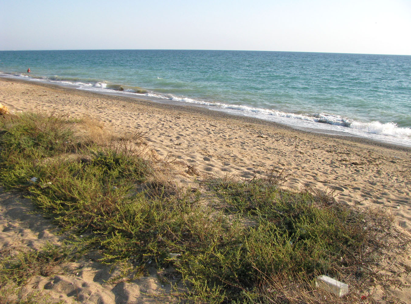 Крым, Саки, image of landscape/habitat.