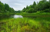 Усть-Янчер и окрестности, image of landscape/habitat.