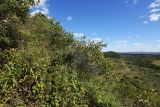 Image of landscape