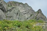 Image of landscape